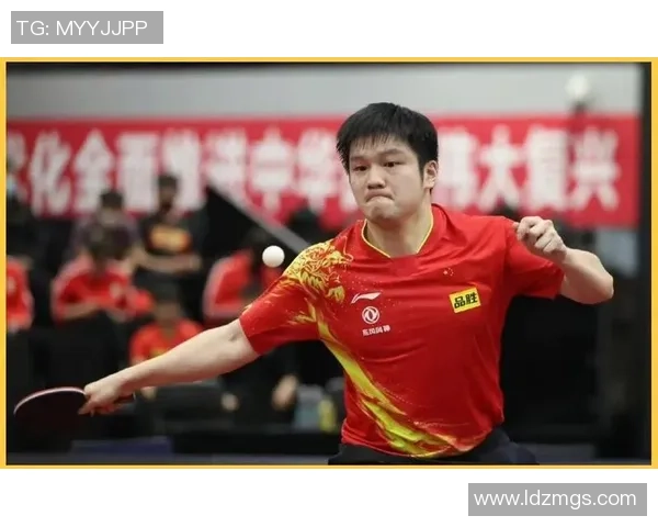 乒乓球专题：深入探讨杭州乒乓球队的速度与技巧之路