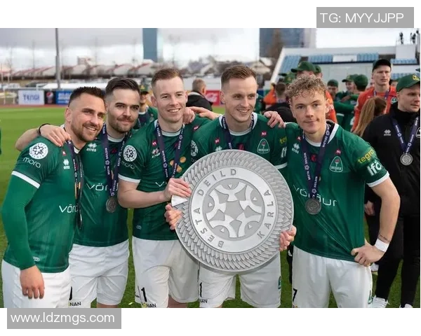 冰岛足球明星盘点他们的成就与影响力解析