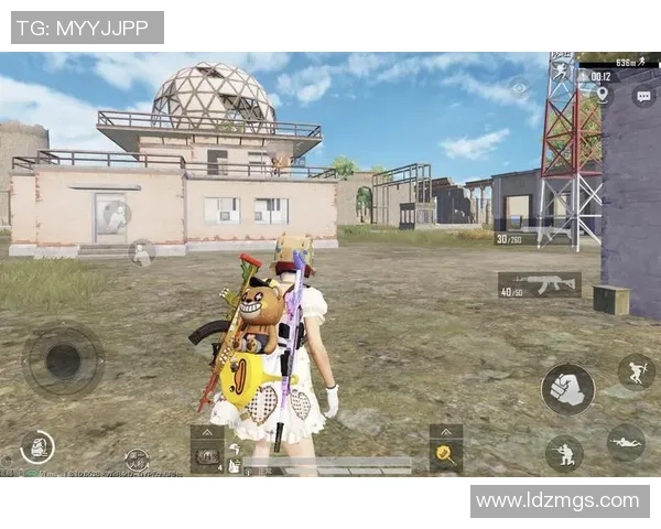 和平精英战场中的团队协作：深入分析LNG战队的成功秘诀与策略