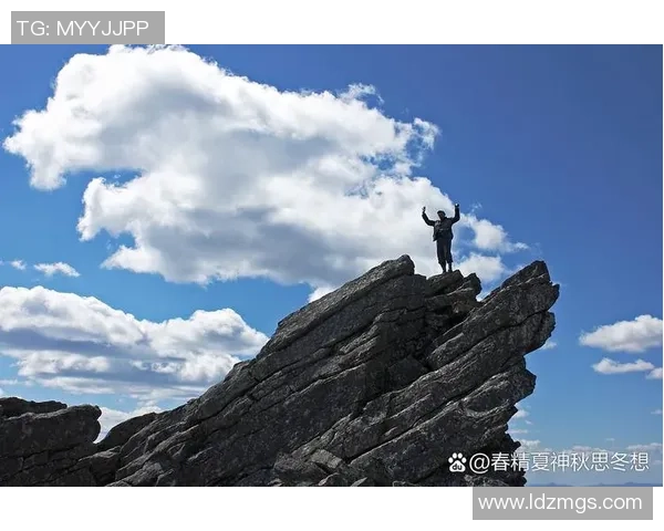 攀岩之路上的坚持与梦想：杨敏的深度对话与人生启示