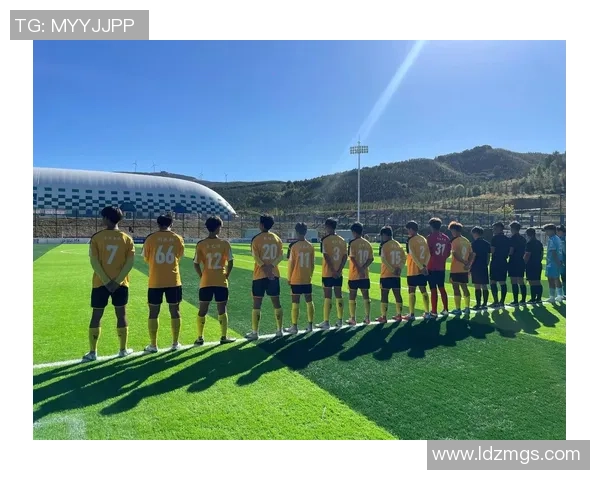 足球厂照片背后的故事与激情展现了足球文化的魅力与团队精神