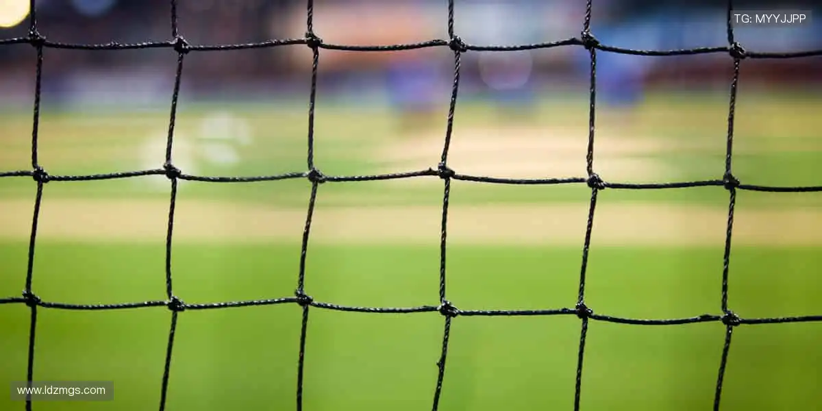 精彩瞬间,即刻拥有📸